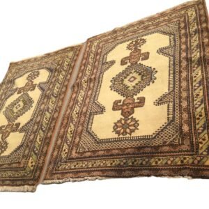 Central Asia (Caucasian)