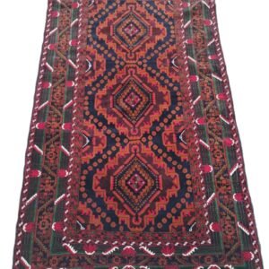 Central Asian (Baloch)