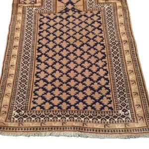 Central Asian (Baloch)