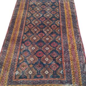 Central Asian (Baloch)