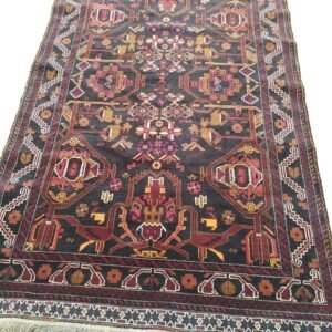 Central Asian (Bashiri)