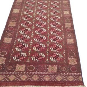 Central Asian (Turkman)