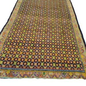 Central Asian (Kutaan)