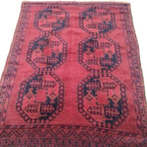 Central Asian (Afghan)