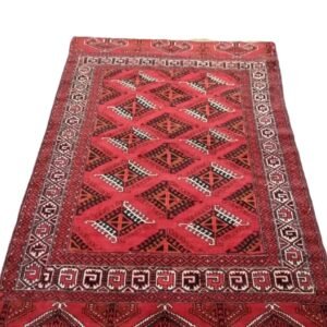 Central Asian (Turkman)