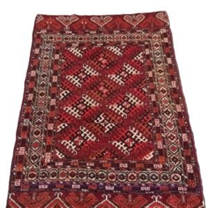 Central Asian (Turkman)