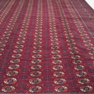 Central Asian (Turkman)